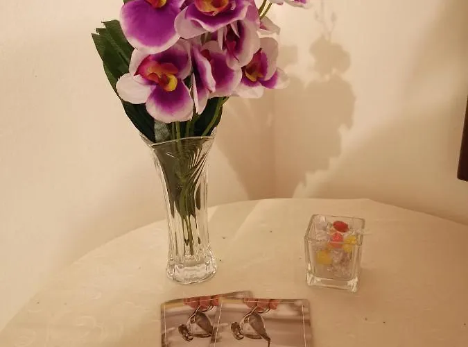 Affitta Il Commercio